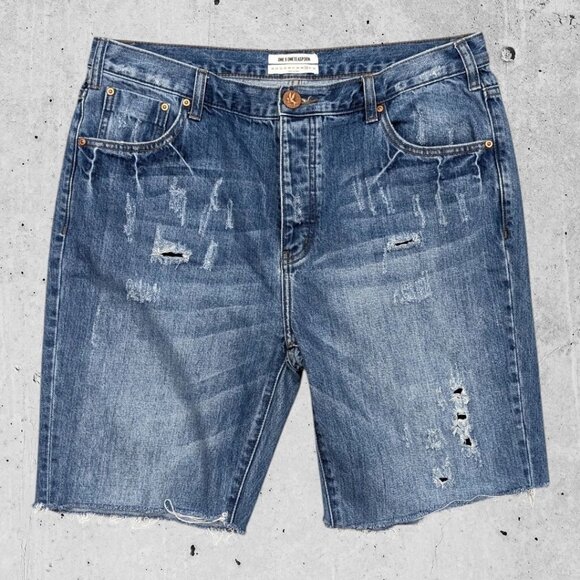 Womens One X Oneteaspoon Cut Off Jean Shorts Size 30 Button Fly - Picture 1 of 6